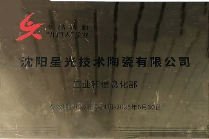 2022年國(guó)家級(jí)專(zhuān)精特新“小巨人”企業(yè)